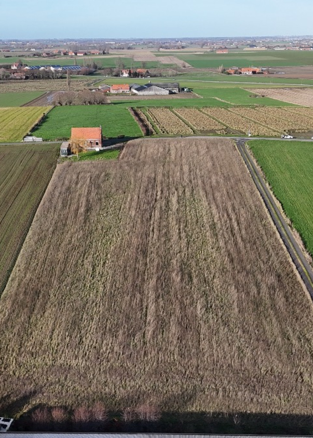 Haezeweidestraat - 11 - - 8980