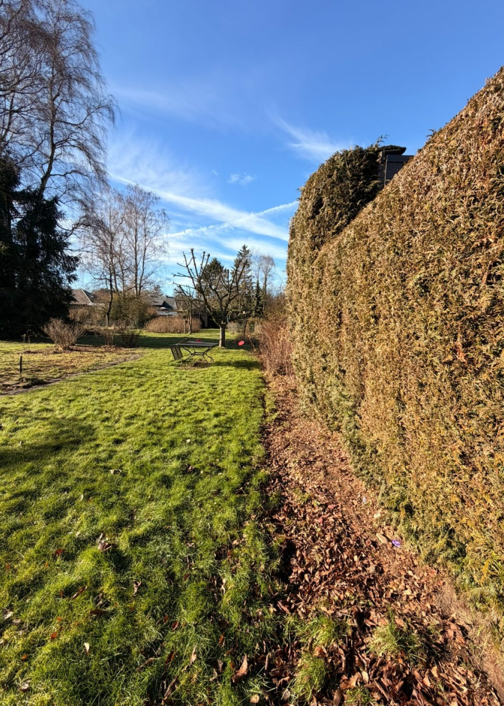 Hanendreef - 98 - - 2930