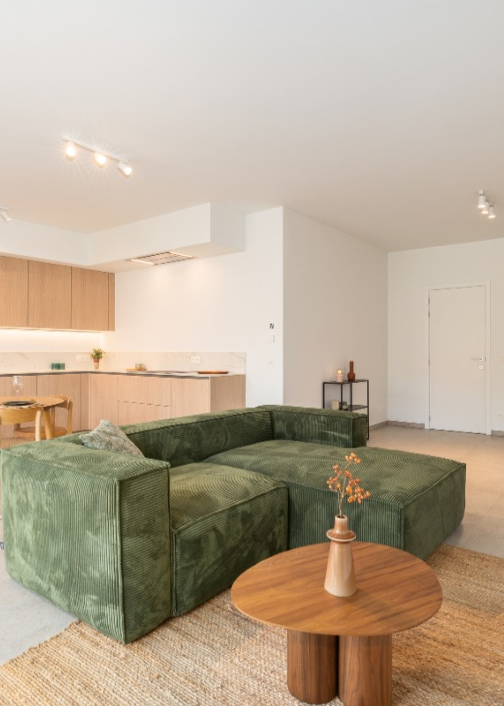 Emile Verhaerenstraat - 53 - - A0.1 - 2890