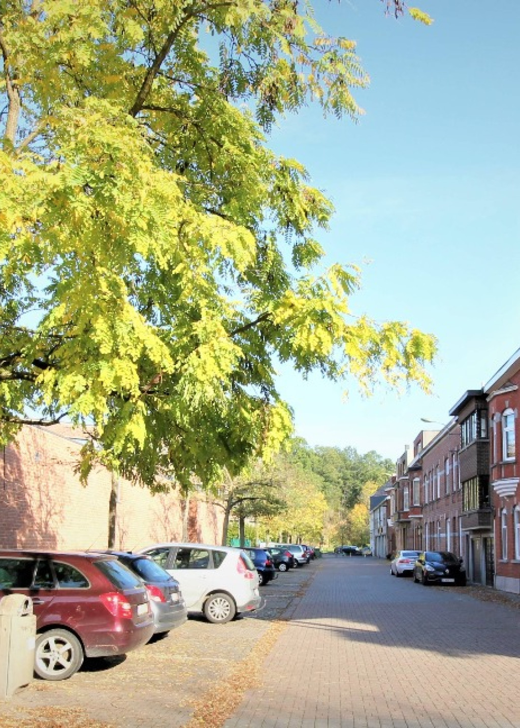 Ferdinand Allenstraat - 34 - 2 - 3290
