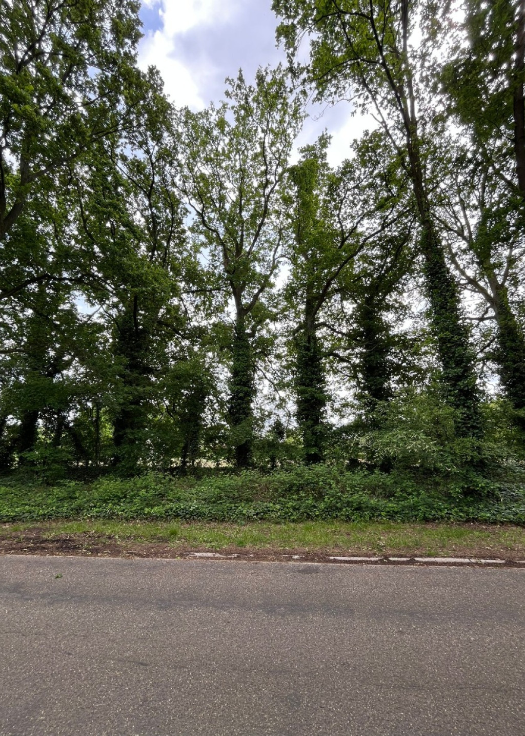 Heidestraat - 85 - - 3550