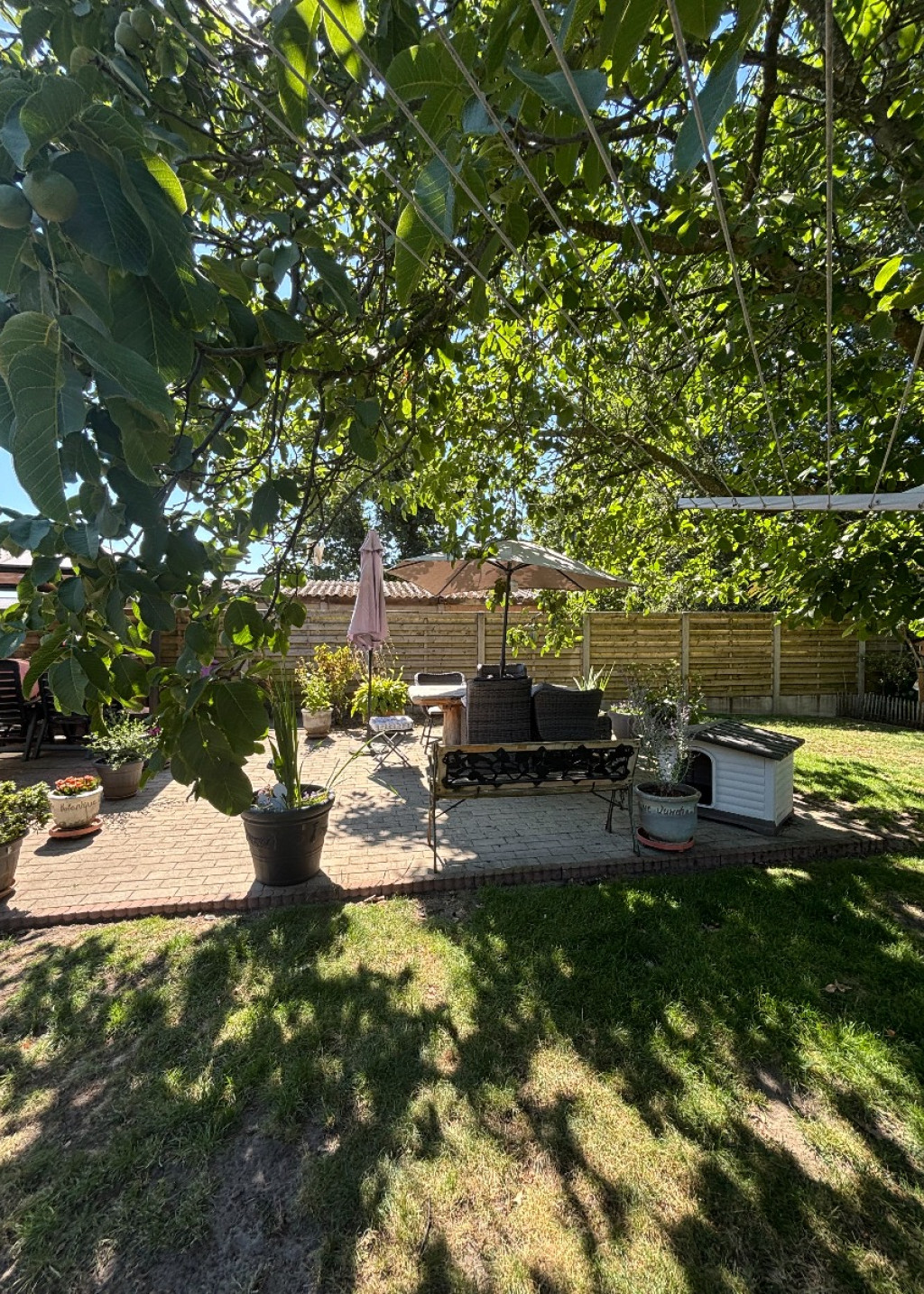 Bieweg - 5 - - 3582