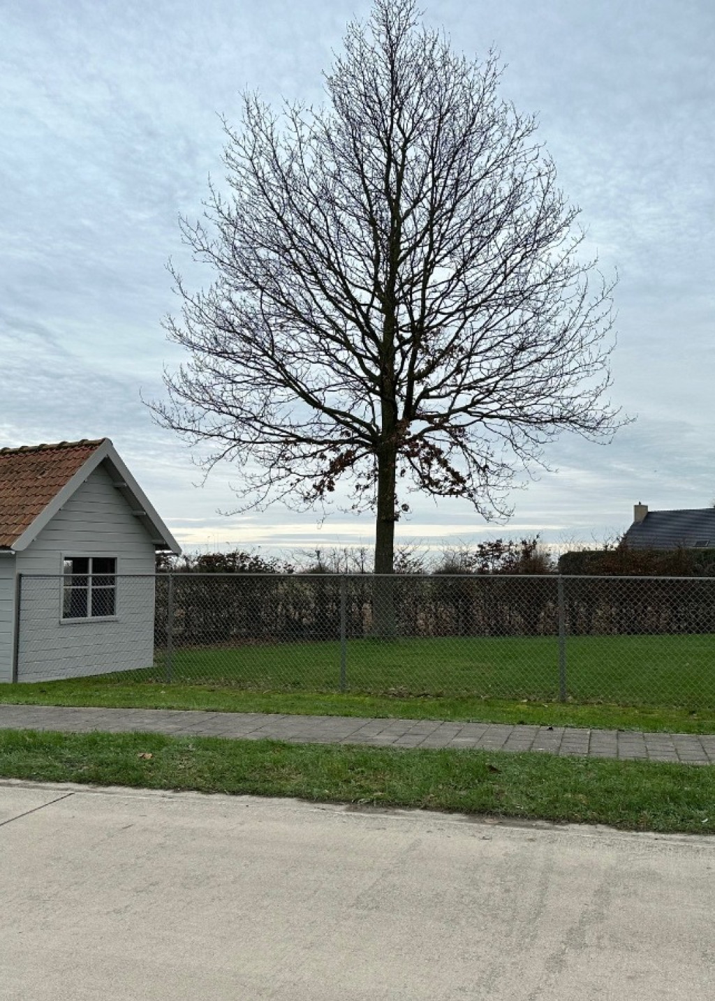 Beverenstraat - 65 - - 8691