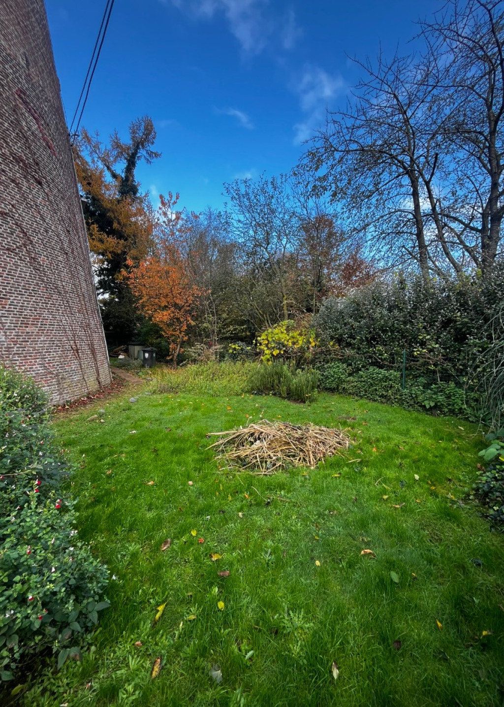 Molenstraat - 46 - - 2520