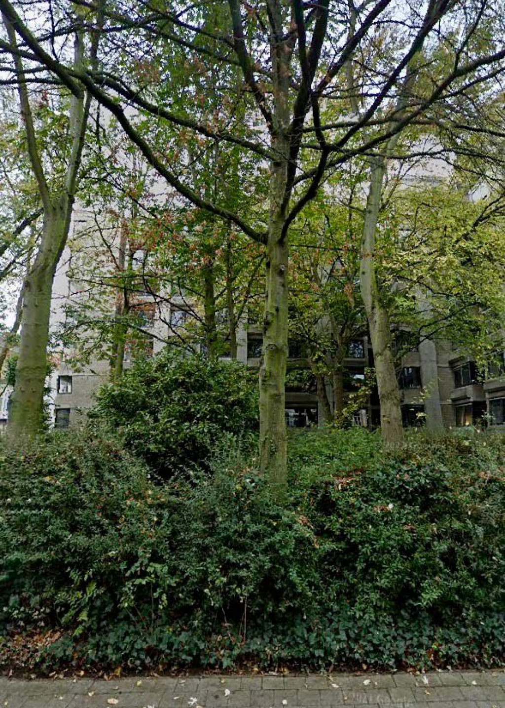 Bogaardenstraat - 73 - - 3000