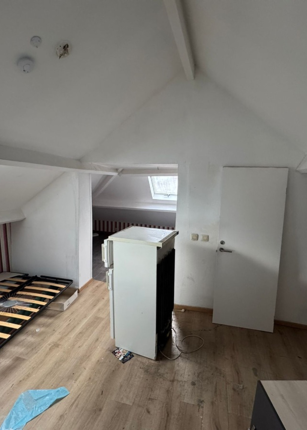 Bogaardenstraat - 81 - - 3000