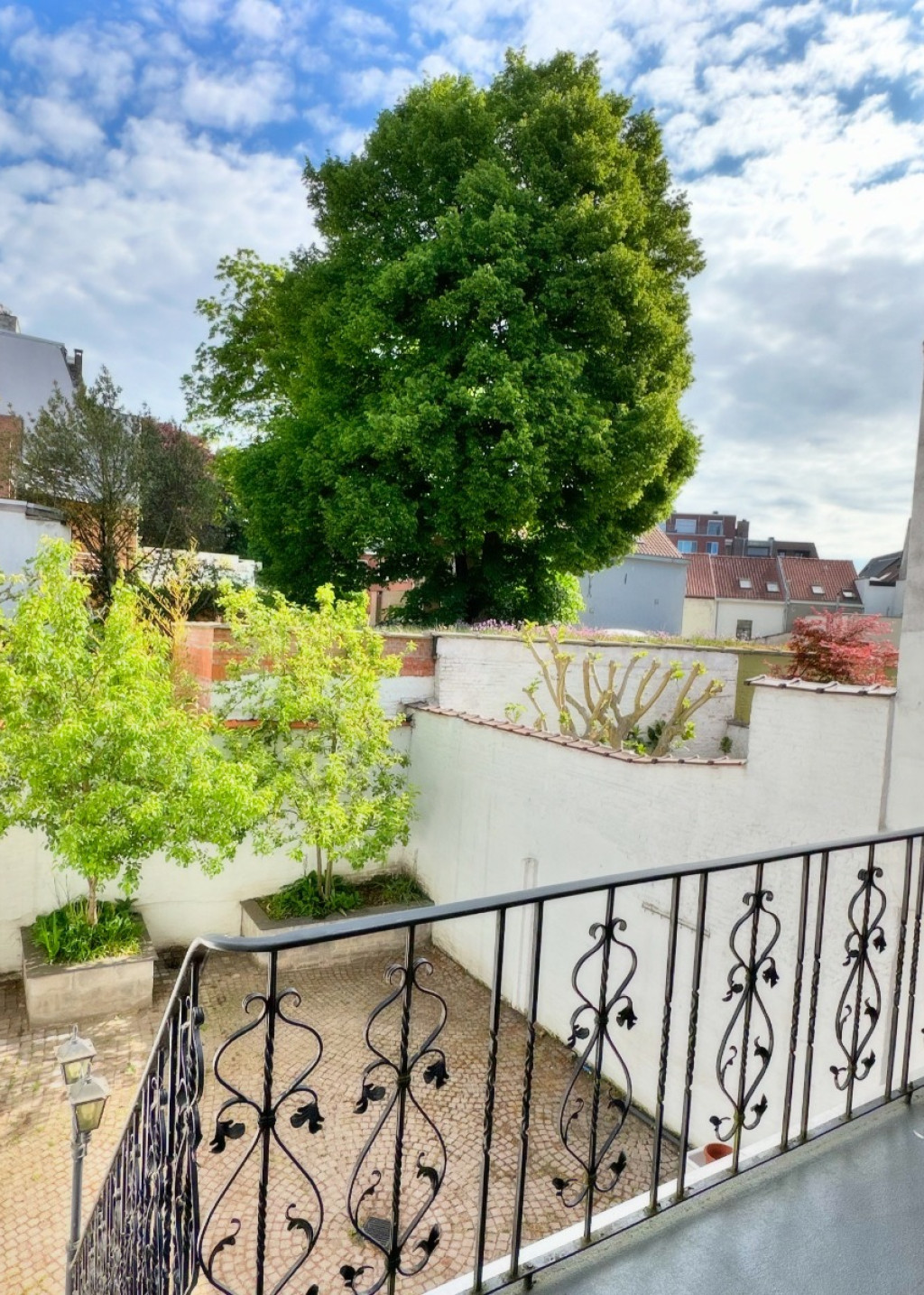 Molenstraat - 59 - - 2018