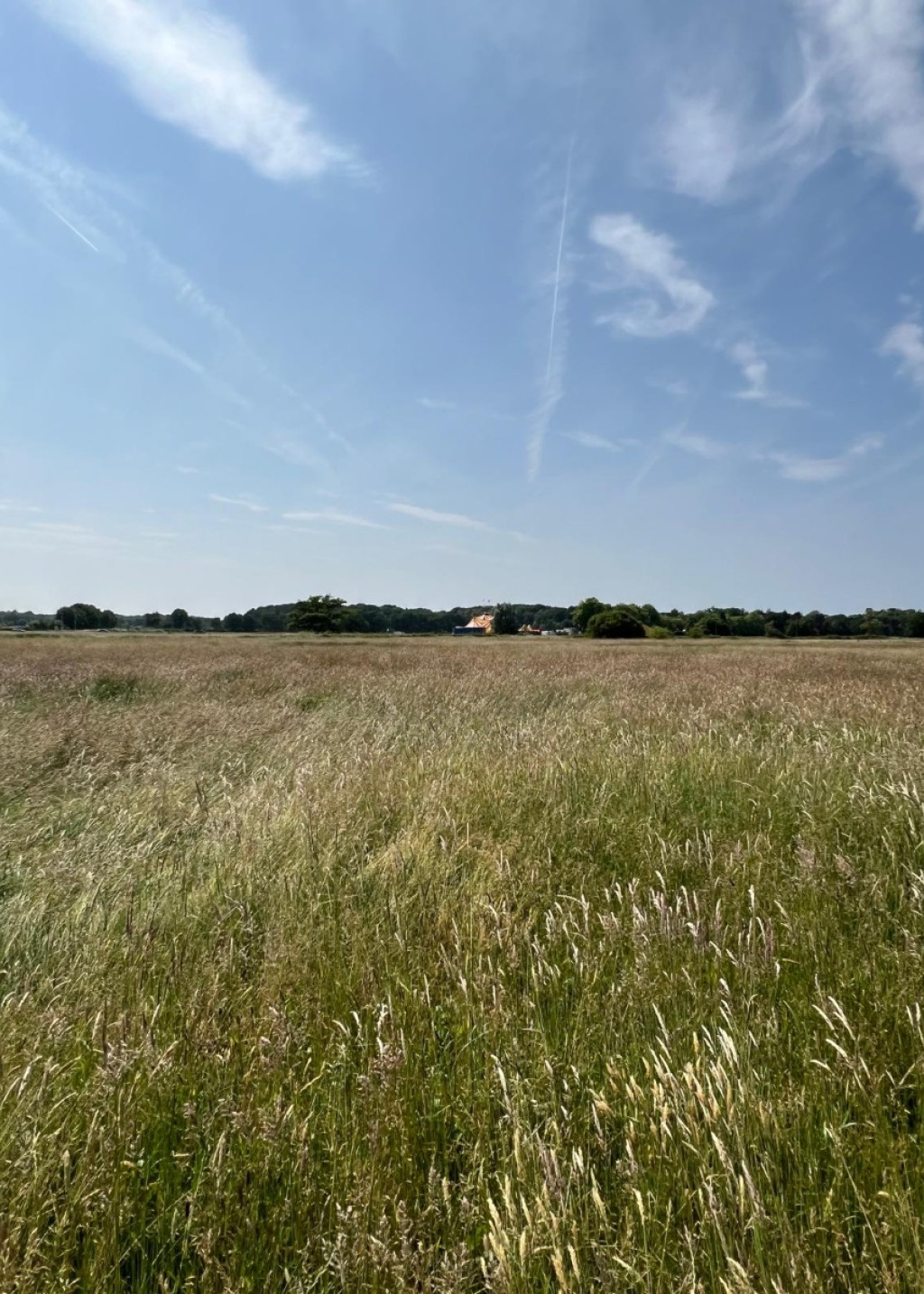 Vroentestraat - 87 - - 3290