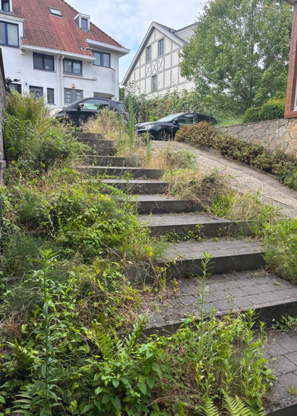 Avenue des citrinelles - 53 - - 1150