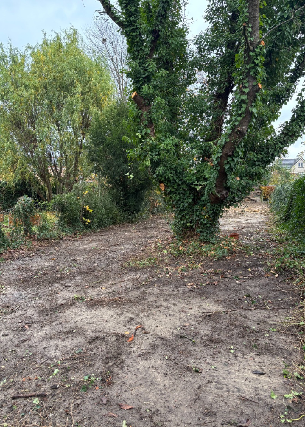 Casinolaan - 48 - - 3018