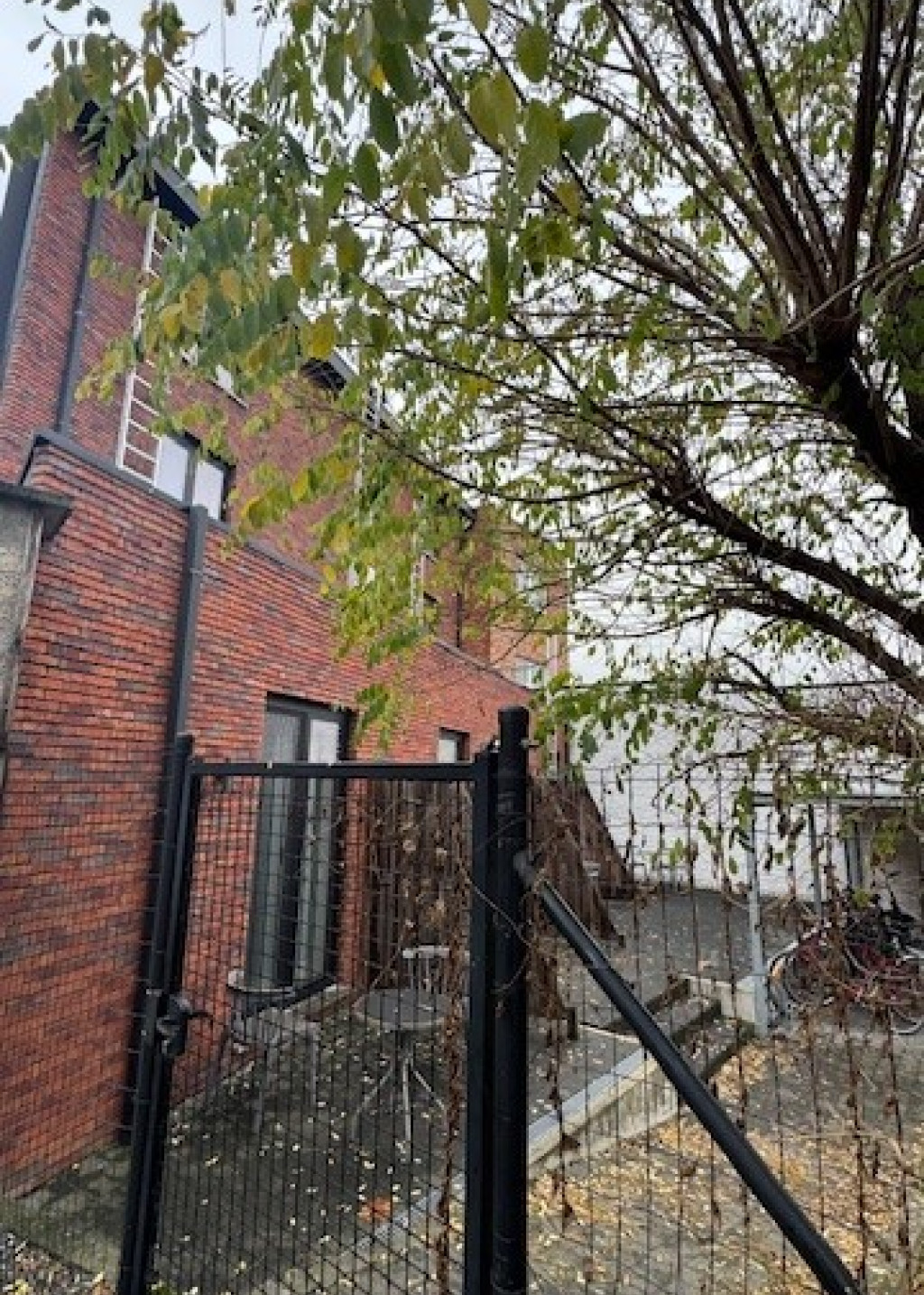 Kapucijnenvoer - 205 - 302 - 3000