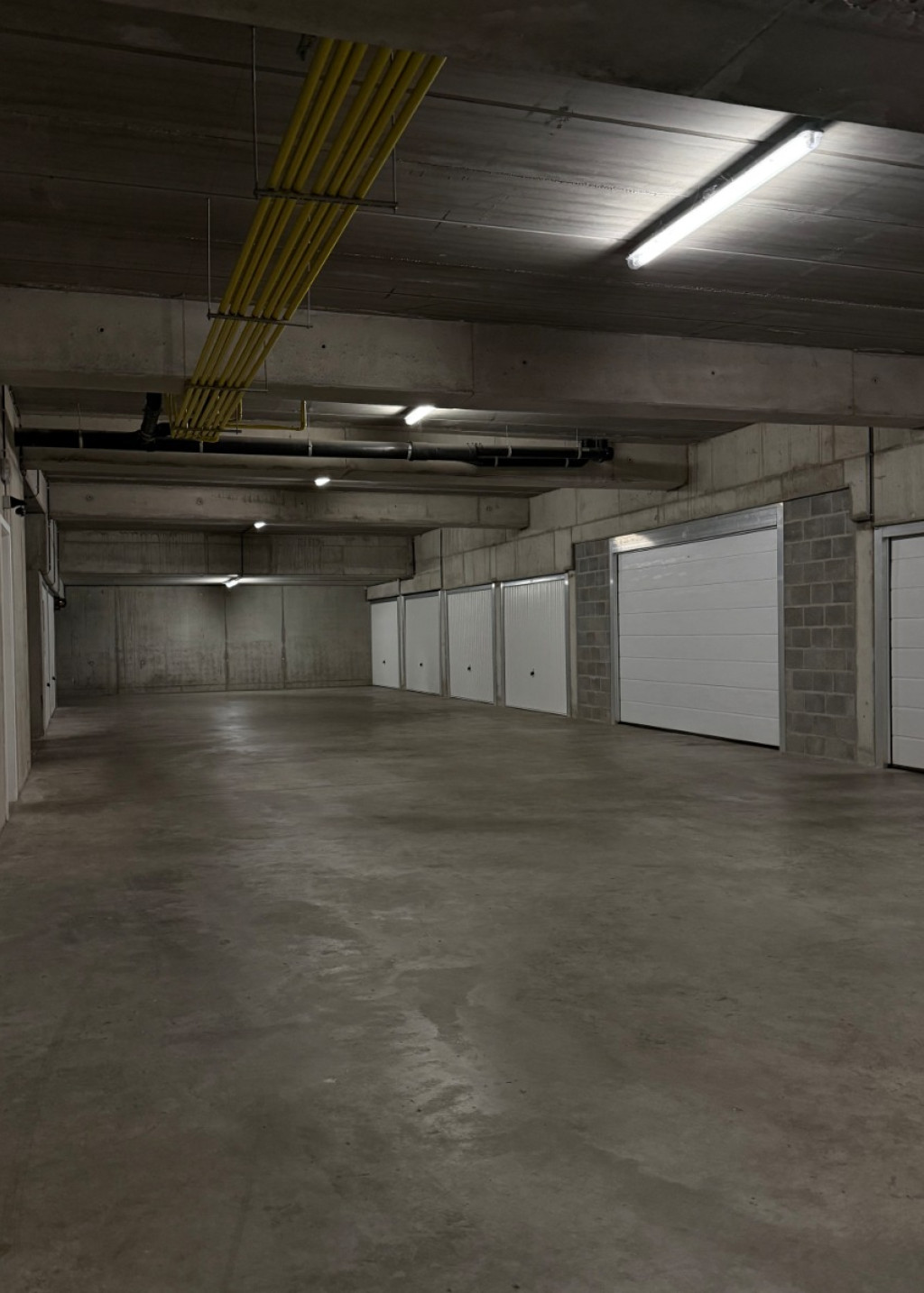 Wilgenpad - 1 - G17 - 8660