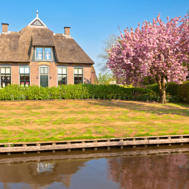 Een huis in de lente met grote tuin en een bloeiende boom.