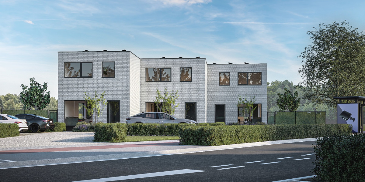 Dendermonde - Hamsesteenweg - 2.jpg