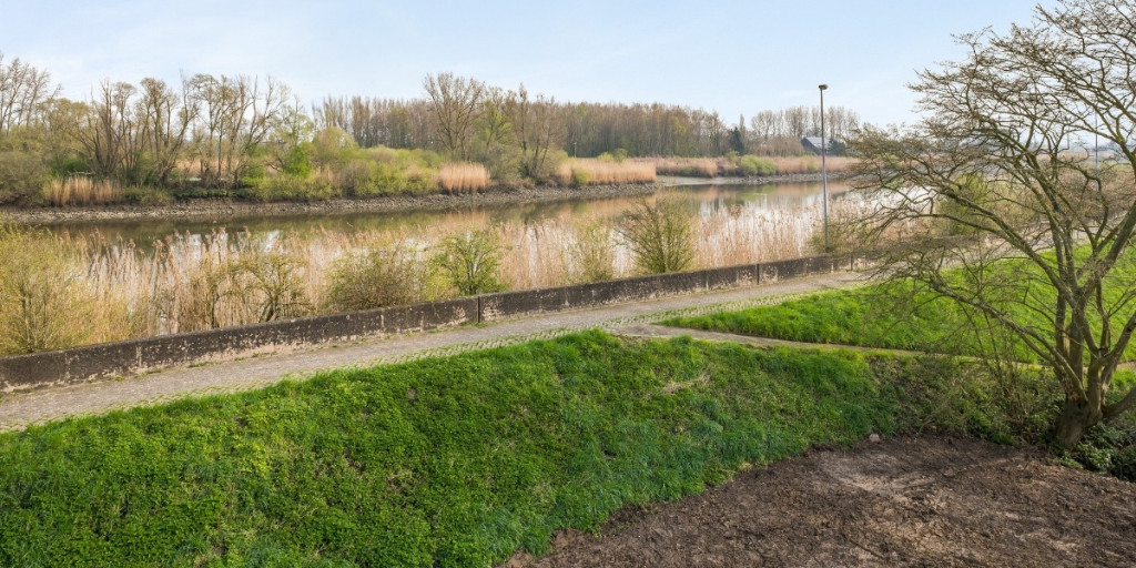 Notendijk - 14.jpg