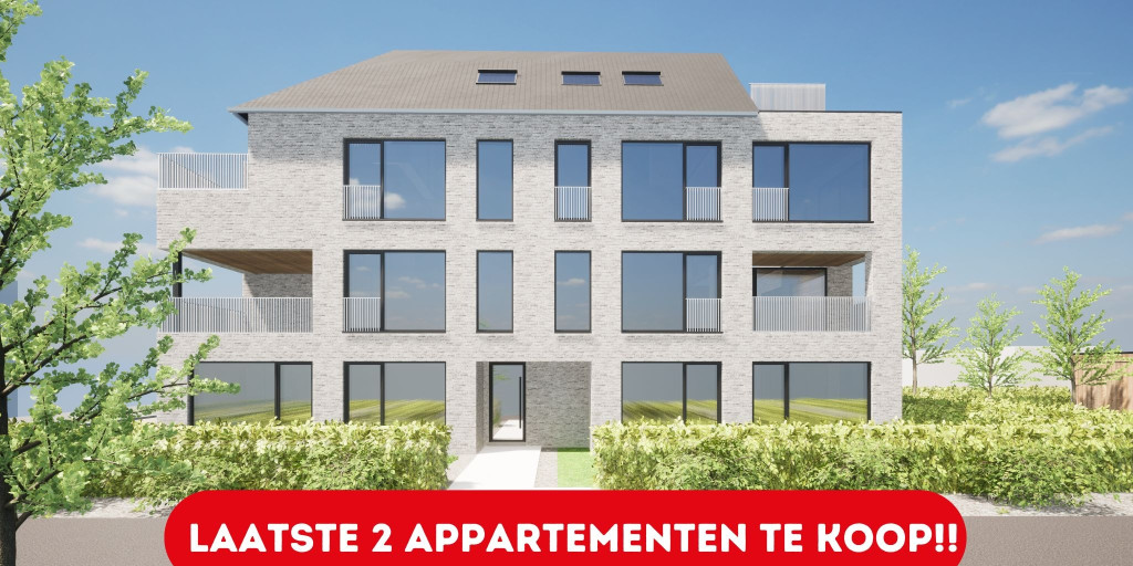 Laatste (1).jpg