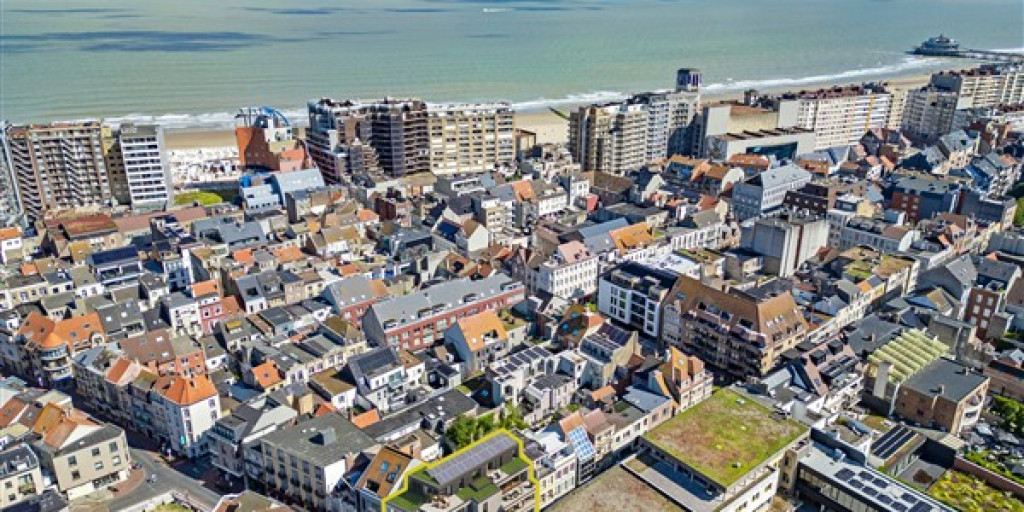 dronebeeld situering alles scherp.jpg