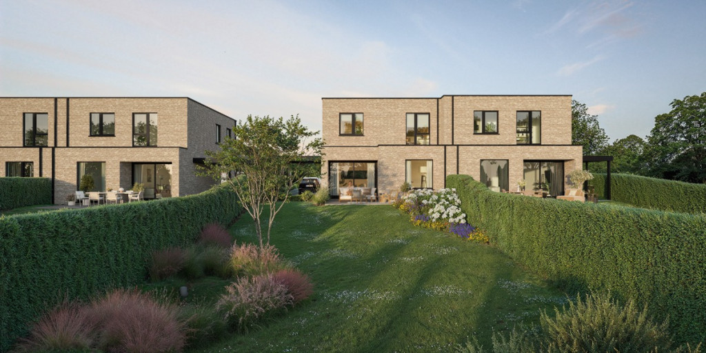 Norelle_Bornem (4).jpg