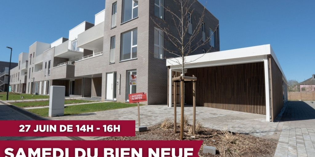 Lay-Out ProjetBien Neuf.jpg