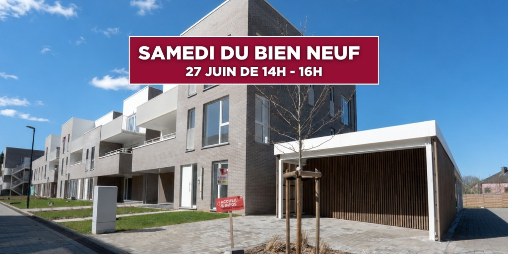 Lay-Out ProjetBien Neuf.jpg