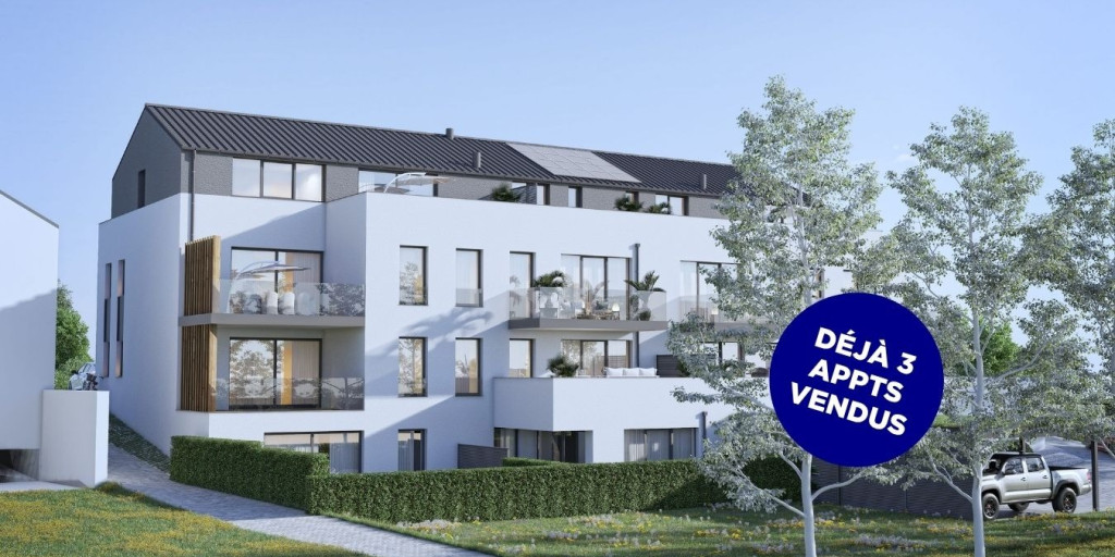 Lay-Out ProjetBien Neuf.jpg