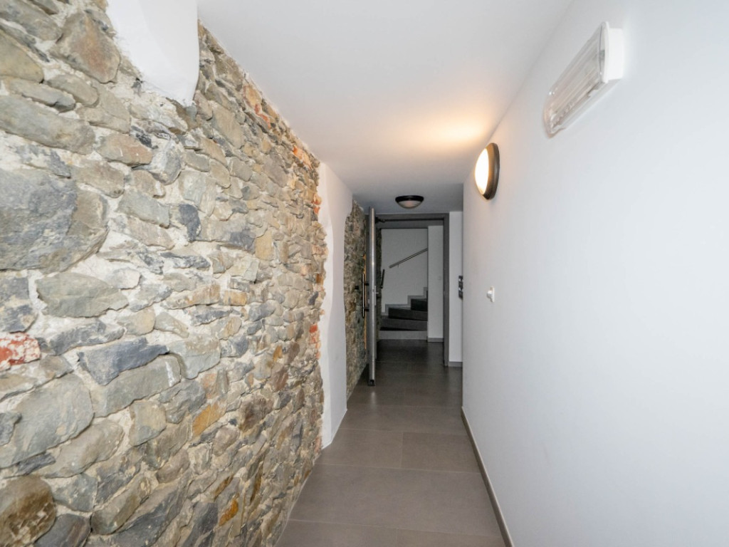 rue du Parc - 5 - - 6600