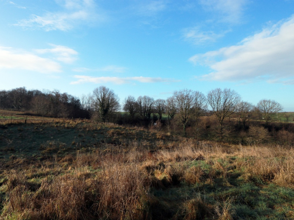 Diestsesteenweg - Papenbos - - 3390