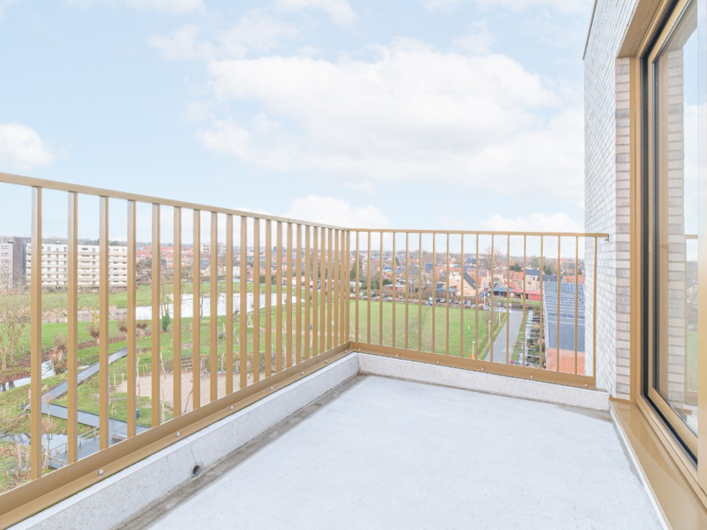 Hoedhaarstraat - 25 - A602 - 9160