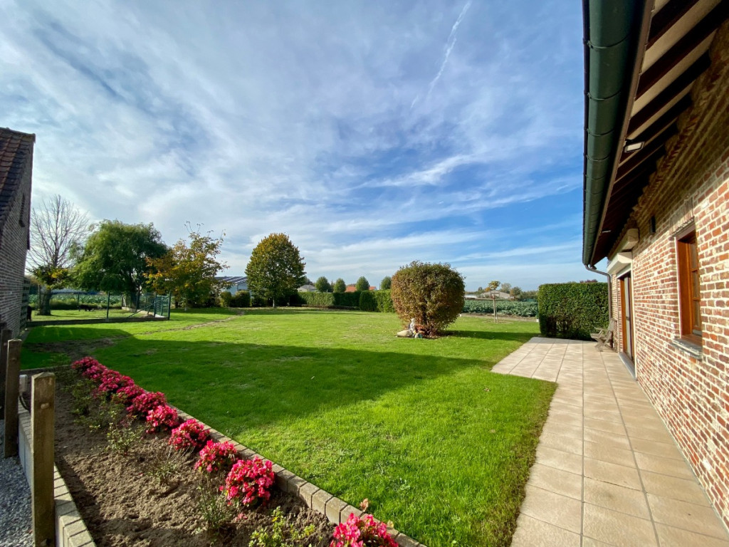 Papegaaistraat - 33 - - 8790