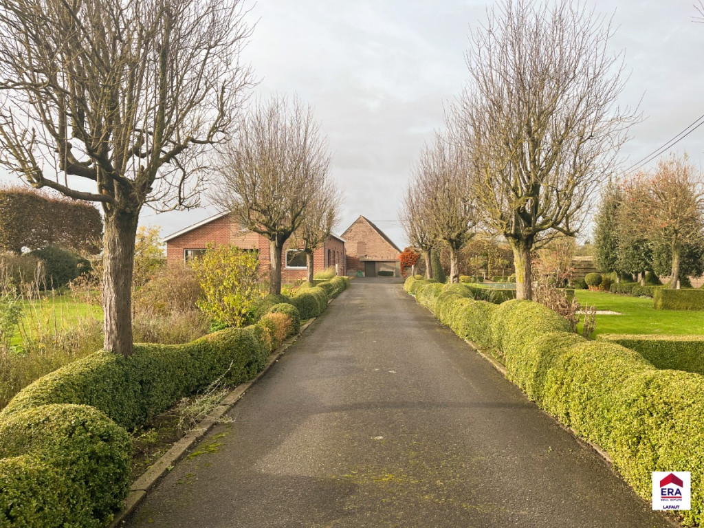 Hoogbeverenstraat - 11 - - 8850