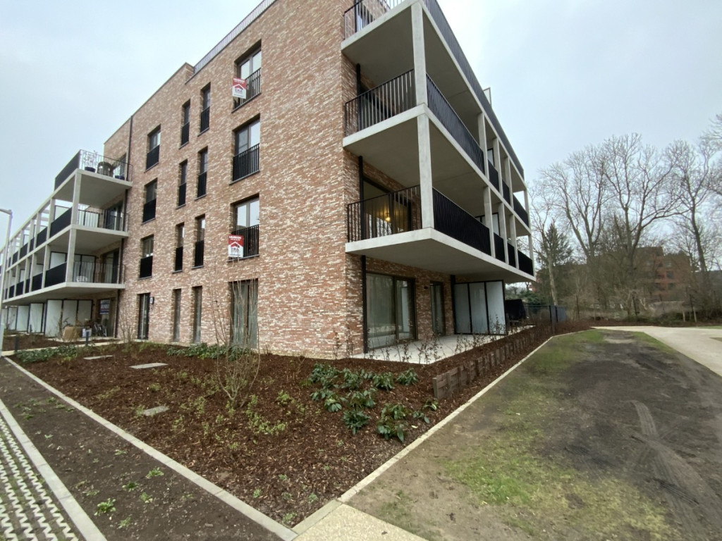 Schaluinveld - 8 - B1 - 3290