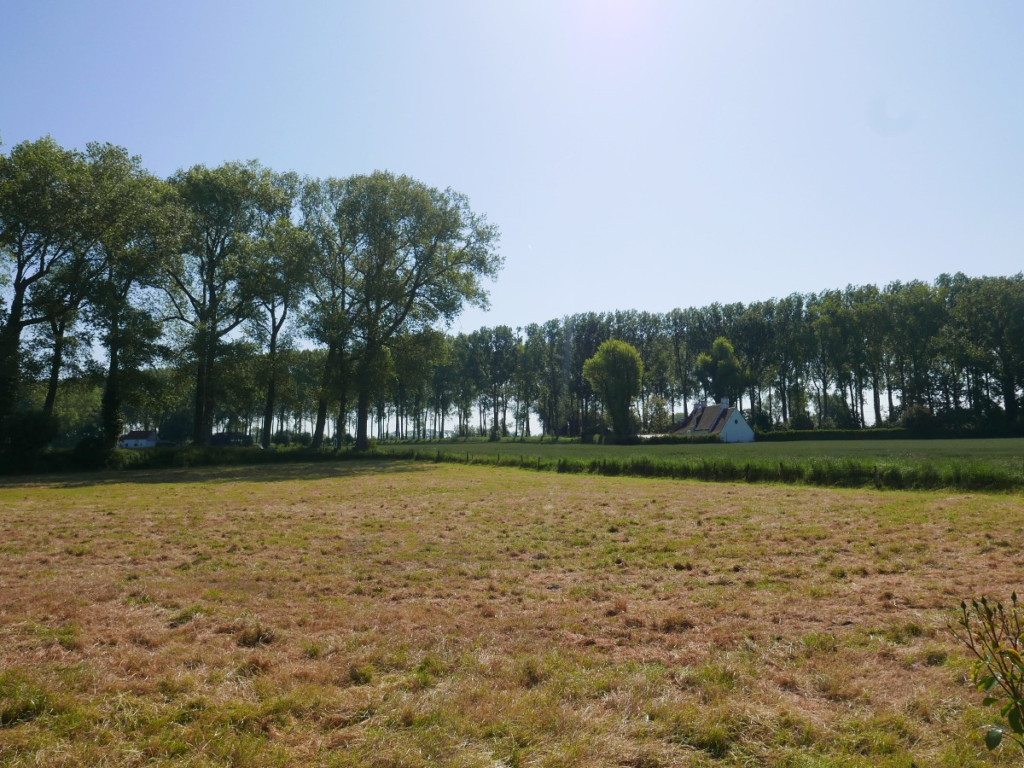 Krinkeldijk - 1 - A - 8340