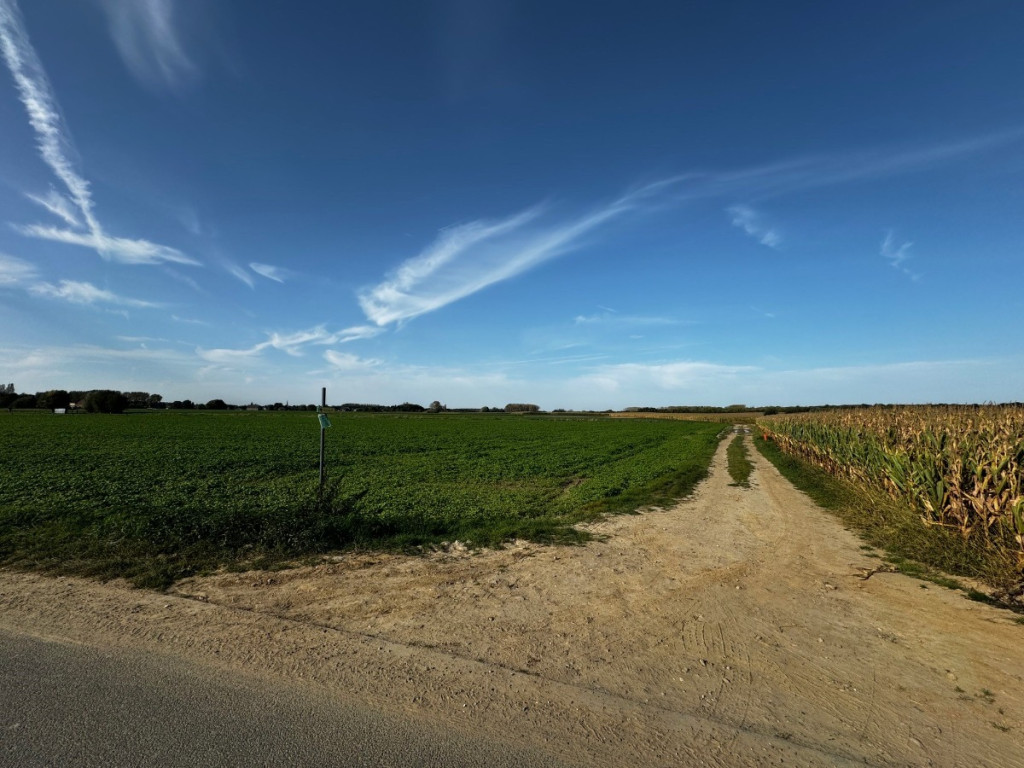 Lintheideveld - zn - - 1850