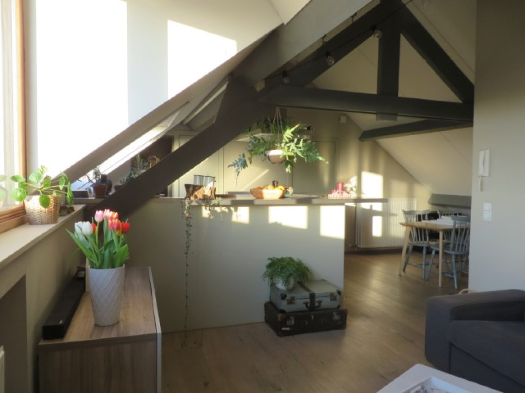 Pluimstraat - 1 - 0031 - 8500