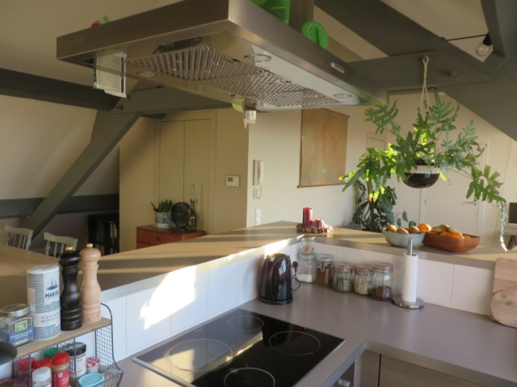 Pluimstraat - 1 - 0031 - 8500