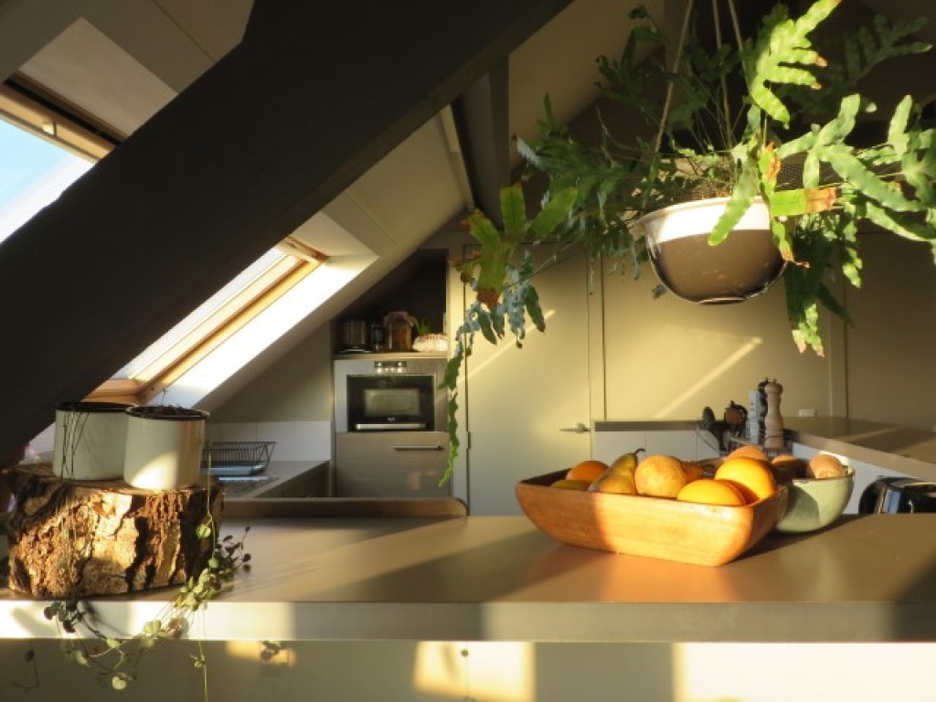 Pluimstraat - 1 - 0031 - 8500