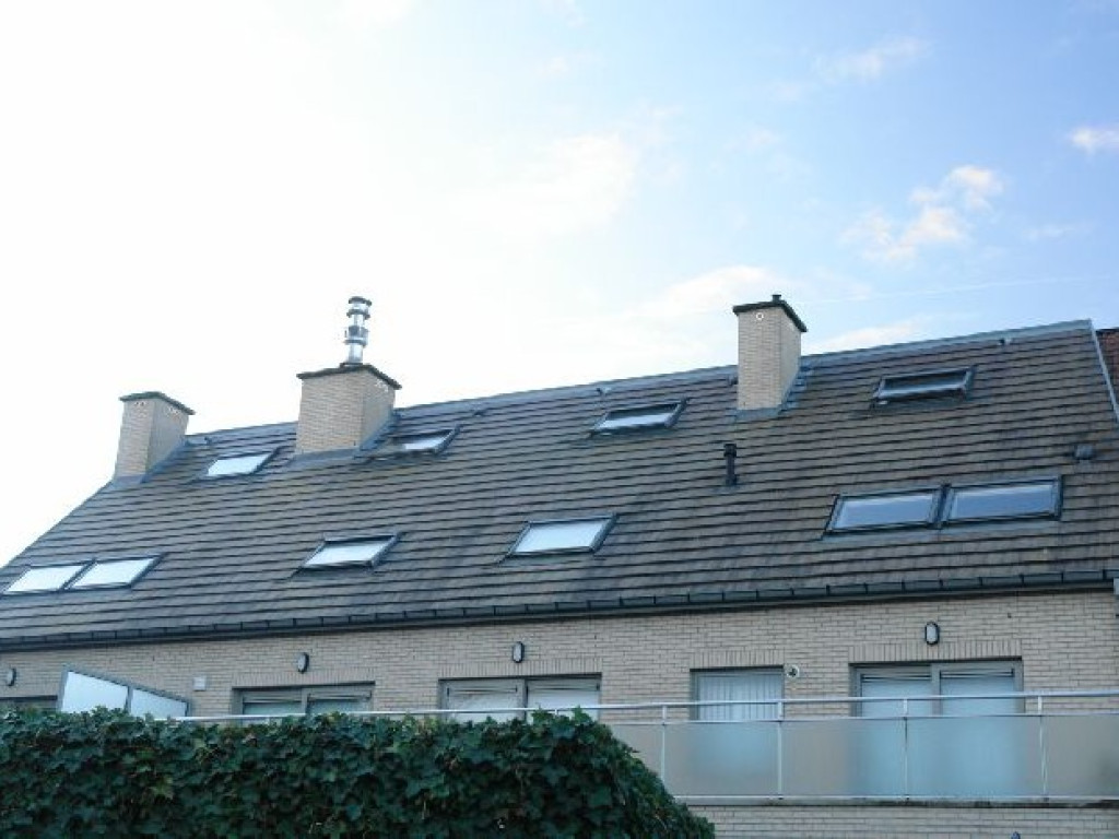 Rene Sabbestraat - 10 - 31 - 8790