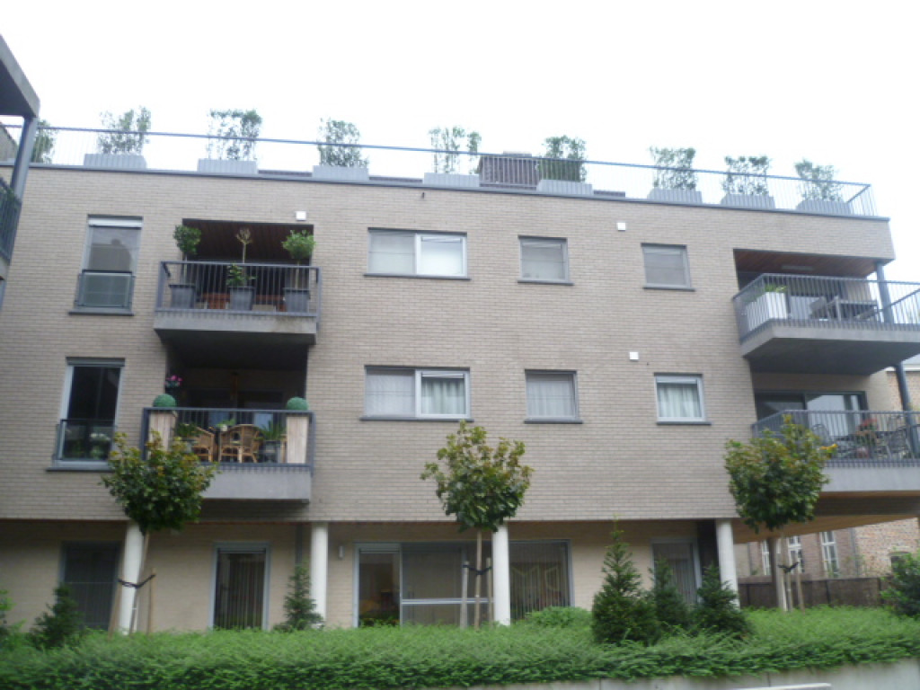 Mariëndaalstraat - 37 - B1 - 3290