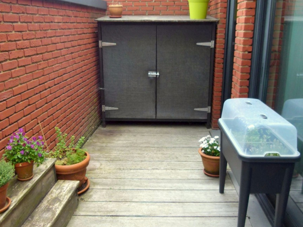 Doelstraat - 11 - - 3545