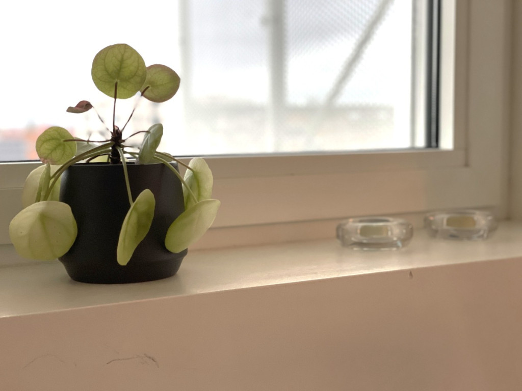 Diksmuidekaai - 11 - 5.3 - 0053 - 8500