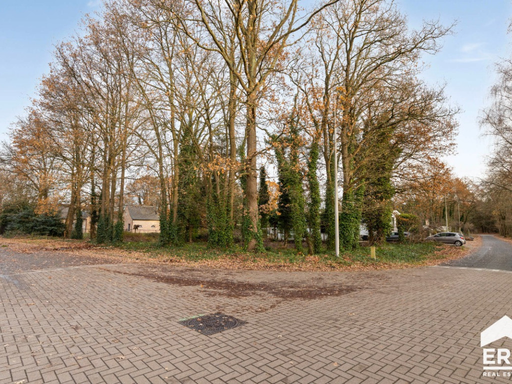 Merelstraat - 15 - - 3920