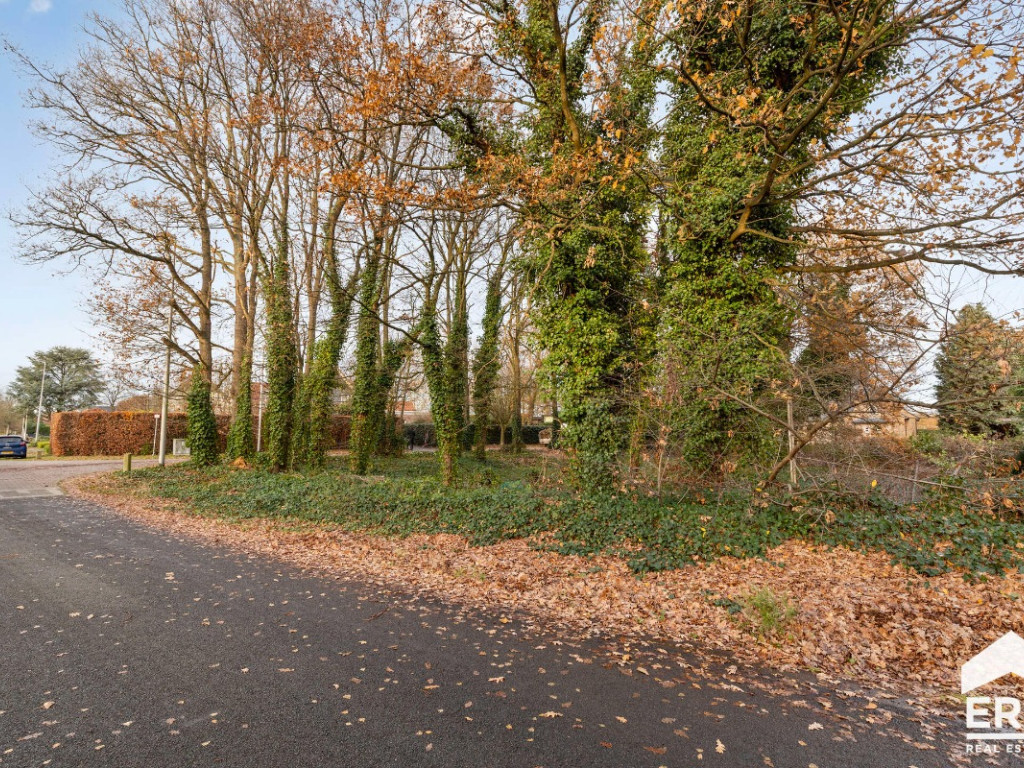 Merelstraat - 15 - - 3920