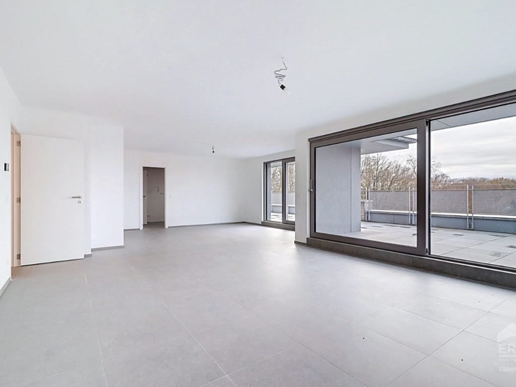 Chaussee de Nivelles - 222 - D31 - D31 - 1420