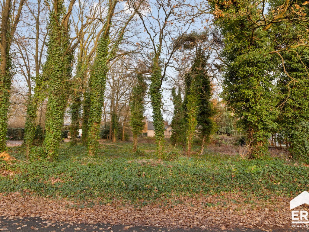 Merelstraat - 15 - - 3920