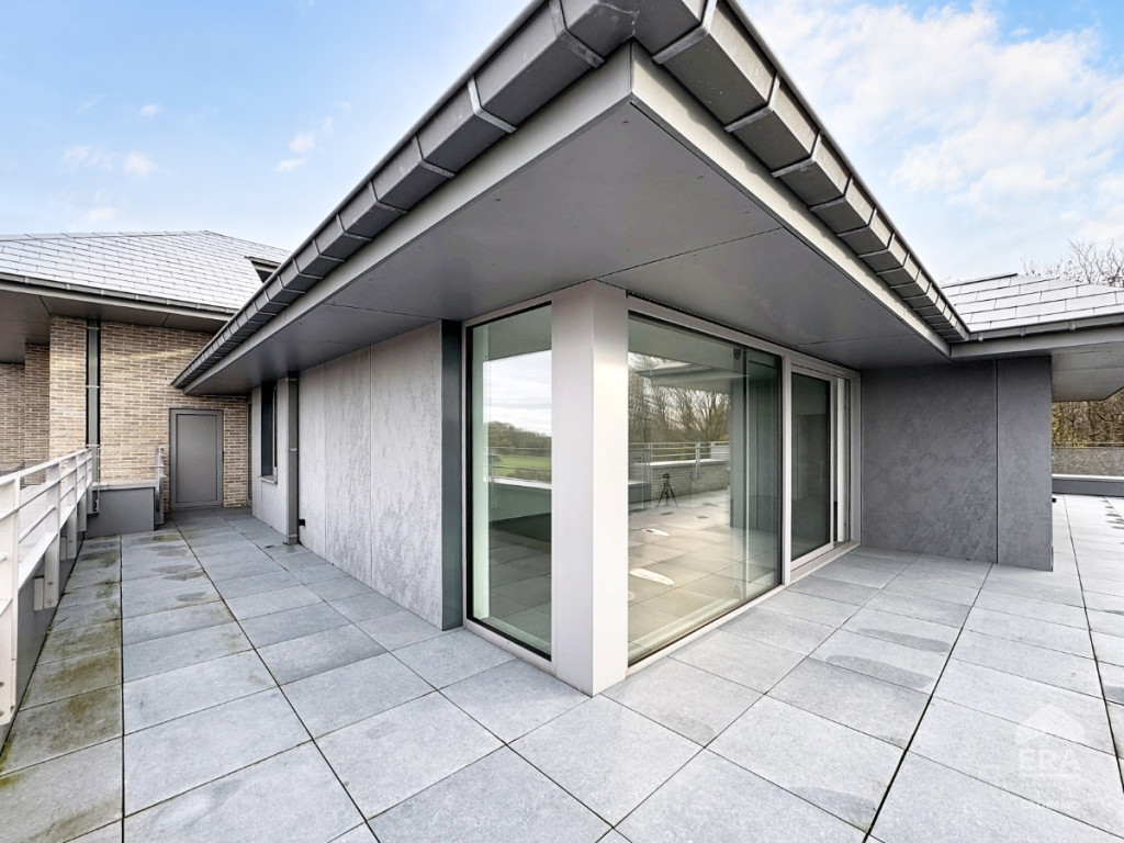 Chaussee de Nivelles - 222 - D31 - D31 - 1420