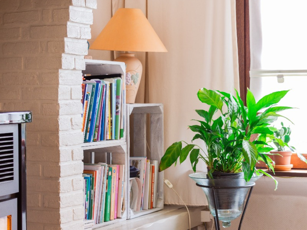 Laaglandlei - 27 - - Schoten