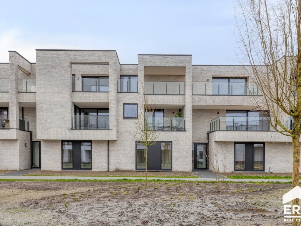 Hezerpad - ZN - - B05 - 3920