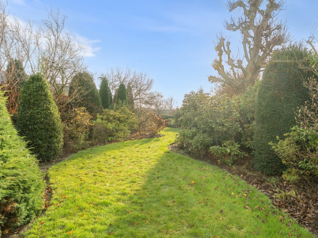 Nieuwstraat - 142 - - 8792