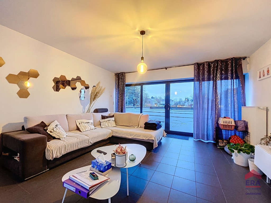 Rue de Ciney - 173 - 1 - 5350