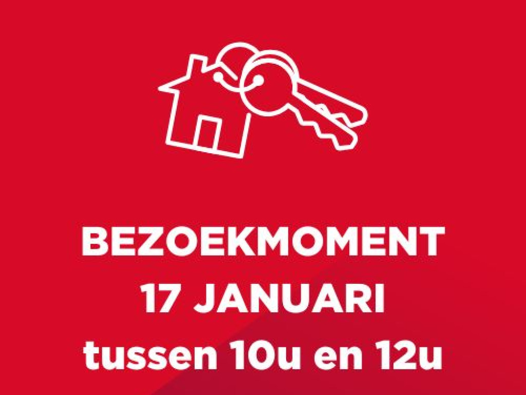 Zegerstraat - 8 - - 8791